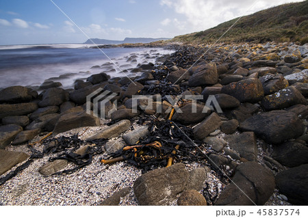 Cloudy Bay in Bruny Island, Tasmania, Australia. 45837574