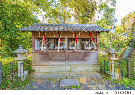 大阪　高槻　上宮天満宮　境内 45838163