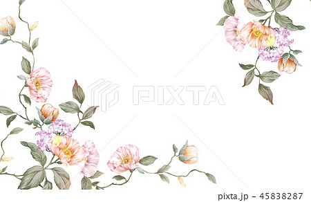 花 フラワー お花 45838287