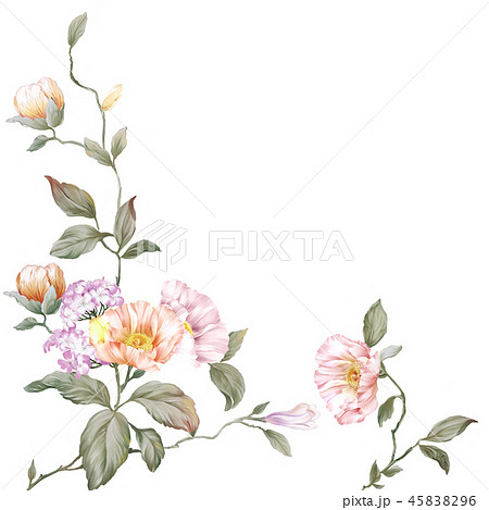 花 フラワー お花 45838296