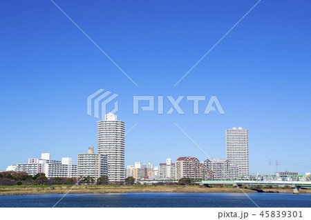 大島・小松川の風景 45839301
