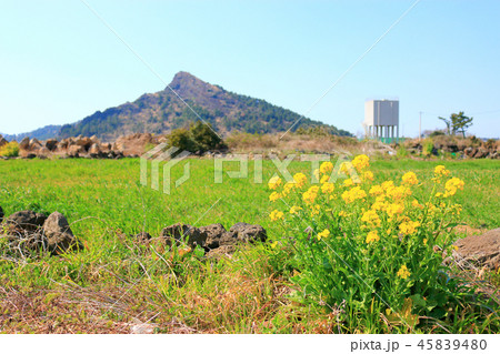 農村 きれい 背景 45839480