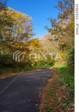 紅葉の休暇村吾妻山ロッジキャンプ場・周辺の景色（2018年11月） 45839620