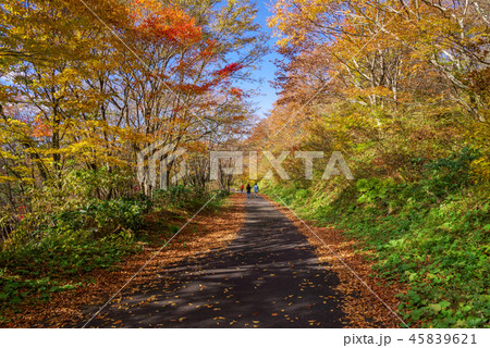 紅葉の休暇村吾妻山ロッジキャンプ場・周辺の景色（2018年11月） 45839621