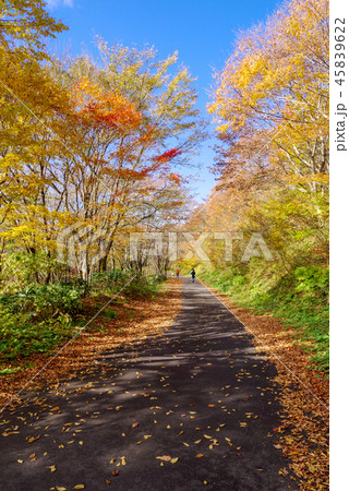 紅葉の休暇村吾妻山ロッジキャンプ場・周辺の景色（2018年11月） 45839622