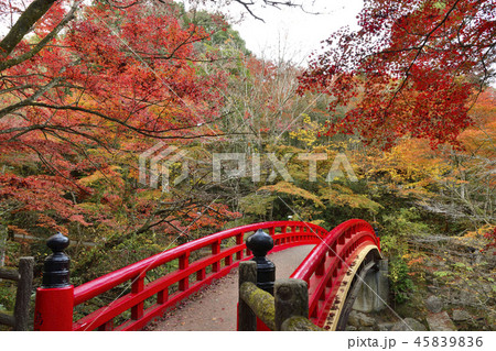 紅葉 45839836
