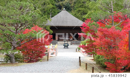 秋の白水阿弥陀堂・浄土庭園(福島県・いわき市) 秋の白水阿弥陀堂・浄土庭園(福島県・いわき市) 45839942