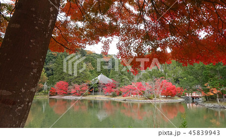 秋の白水阿弥陀堂・浄土庭園(福島県・いわき市) 秋の白水阿弥陀堂・浄土庭園(福島県・いわき市) 45839943