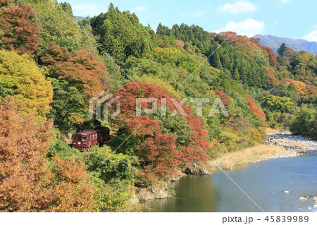 わたらせ渓谷鐵道「渡良瀬川と山間部の紅葉」 45839989