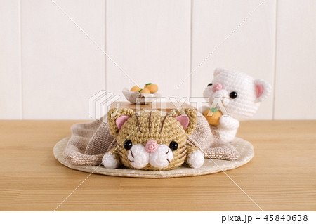 こたつ猫 45840638