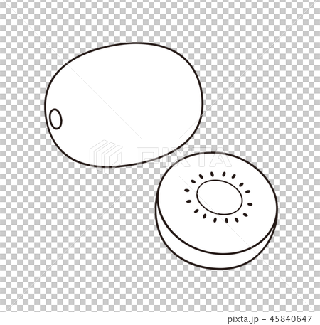 キウイフルーツ ぬりえ 線画のイラスト素材 45840647 Pixta