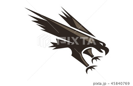 hawk Logo Template 45840769
