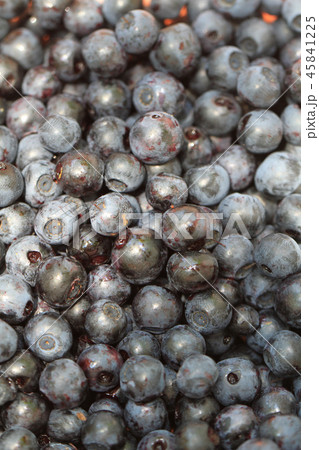 fresh blueberries background 45841225