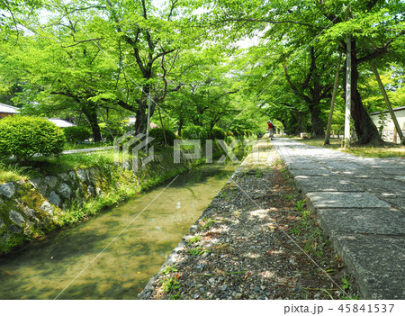 京都 哲学の道 京都 哲学の道 45841537