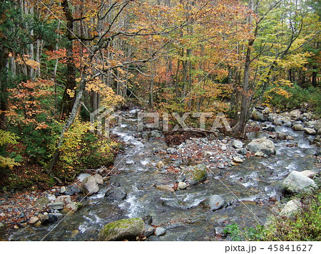 照葉峡の秋 照葉峡の秋 45841627