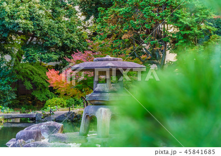 日本の秋 旧古川庭園の紅葉風景 日本の秋 旧古川庭園の紅葉風景 45841685