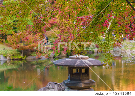 日本の秋 旧古川庭園の紅葉風景 45841694