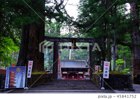 日光東照宮　石鳥居 ／ 大鳥居 （ 栃木県 日光市 ） 45841752