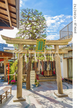 京都  市比賣神社  45842742