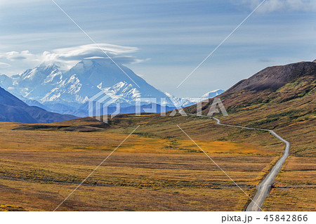 アラスカ デナリ国立公園(マッキンレー) Denali National Park 45842866