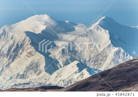 アラスカ デナリ国立公園(マッキンレー) Denali National Park 45842871