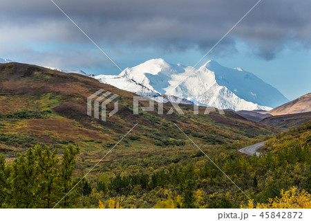 アラスカ デナリ国立公園(マッキンレー) Denali National Park 45842872