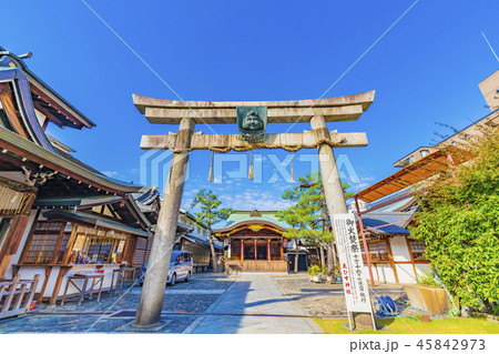 京都 恵比寿神社　鳥居 45842973