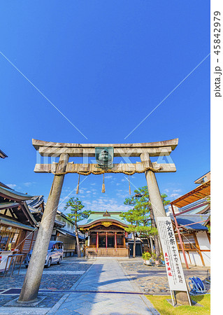 京都 恵比寿神社　鳥居 45842979