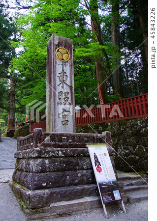 日光東照宮　社号碑　 （ 栃木県 日光市 ） 45843226