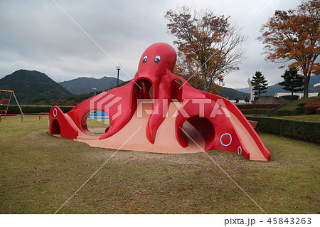 タコ滑り台 45843263