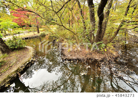 紅葉の池 紅葉の池 45843273