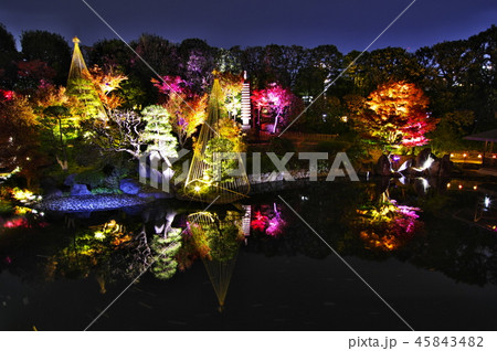 紅葉ライトアップ（目白庭園） 45843482