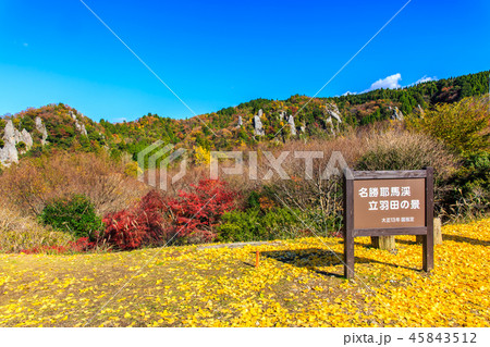 立羽田の景の紅葉　【大分県中津市裏耶馬渓】 45843512