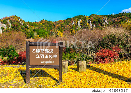立羽田の景の紅葉 【大分県中津市裏耶馬渓】 立羽田の景の紅葉 【大分県中津市裏耶馬渓】 45843517