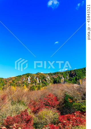 立羽田の景の紅葉 【大分県中津市裏耶馬渓】 立羽田の景の紅葉 【大分県中津市裏耶馬渓】 45843521