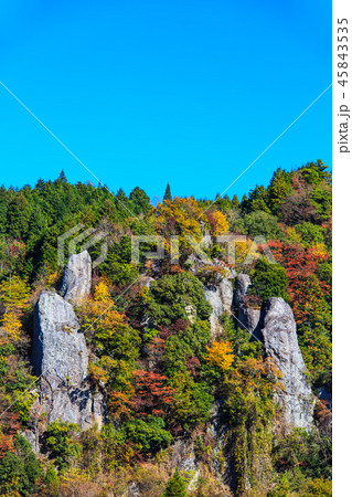 立羽田の景の紅葉　【大分県中津市裏耶馬渓】 45843535