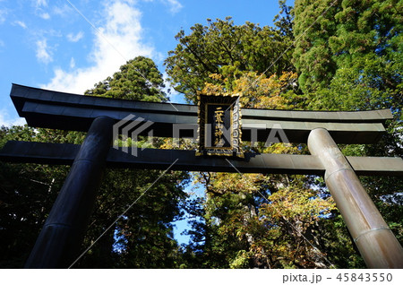 【世界遺産 日光の社寺】日光二荒山神社の神門前の鳥居と晩秋の空 栃木県日光市 【世界遺産 日光の社寺】日光二荒山神社の神門前の鳥居と晩秋の空 栃木県日光市 45843550