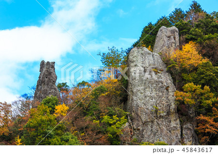 立羽田の景の紅葉　【大分県中津市裏耶馬渓】 45843617