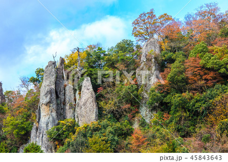 立羽田の景の紅葉　【大分県中津市裏耶馬渓】 45843643