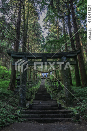 上色見熊野座神社 上色見熊野座神社 45843824