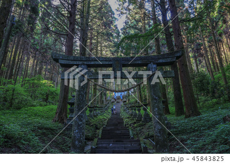 上色見熊野座神社 45843825