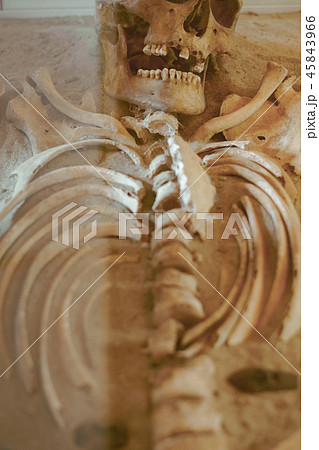 the human skull lies 45843966