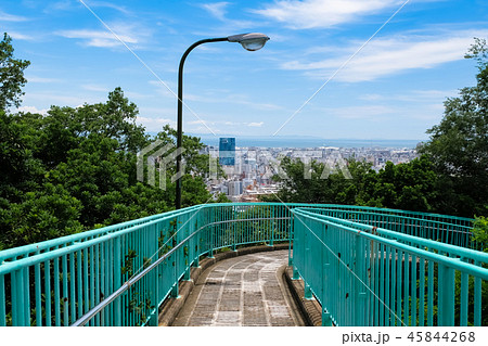 神戸 ビーナスブリッジ 45844268