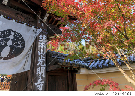 光明寺　紅葉 45844431