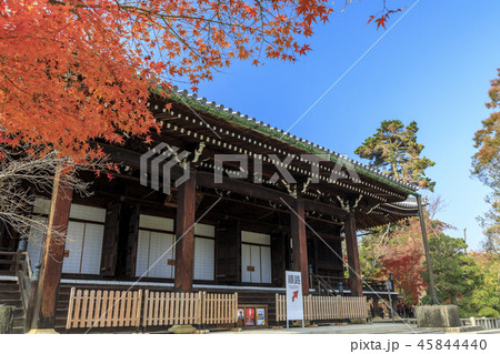 光明寺 紅葉 光明寺 紅葉 45844440