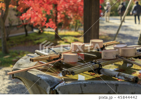 光明寺 紅葉 光明寺 紅葉 45844442