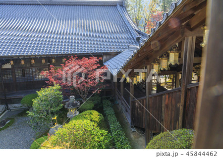 光明寺 紅葉 光明寺 紅葉 45844462