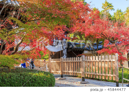 光明寺 紅葉 光明寺 紅葉 45844477