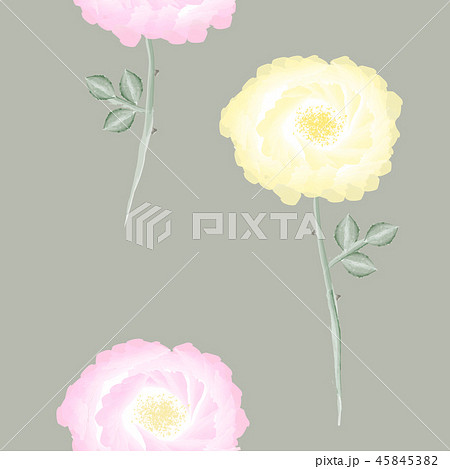 Elegant vintage seamless floral pattern with spring tender yellow and pink dog rose flowers and Elegant vintage seamless floral pattern with spring tender yellow and pink dog rose flowers and 45845382