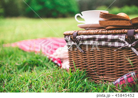 Summer picnic with book and food on wicker basket 45845452